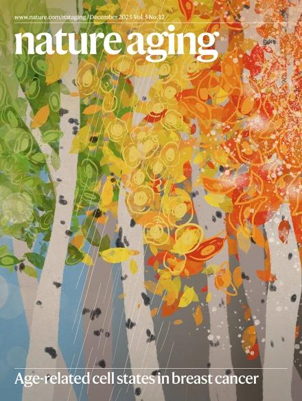 Quantifying the stochastic component of epigenetic aging